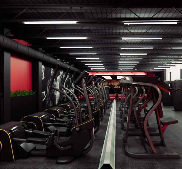 Cardio & Conditioning