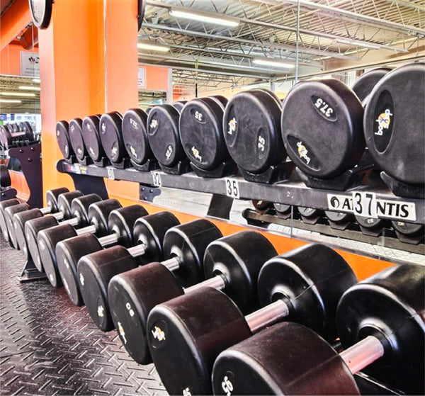 Free Weights Floor